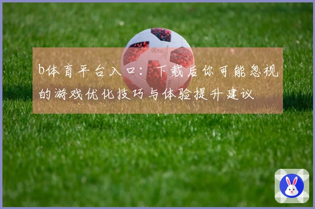 b体育平台入口：下载后你可能忽视的游戏优化技巧与体验提升建议