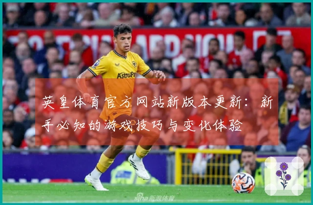 英皇体育官方网站新版本更新：新手必知的游戏技巧与变化体验